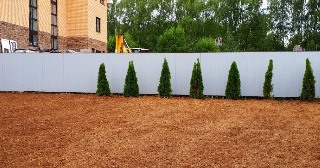 Отсыпка грунта Сальск, цена от 205 руб.